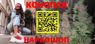 бошки Гатчина