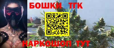 бошки Гатчина