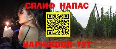 бошки Гатчина