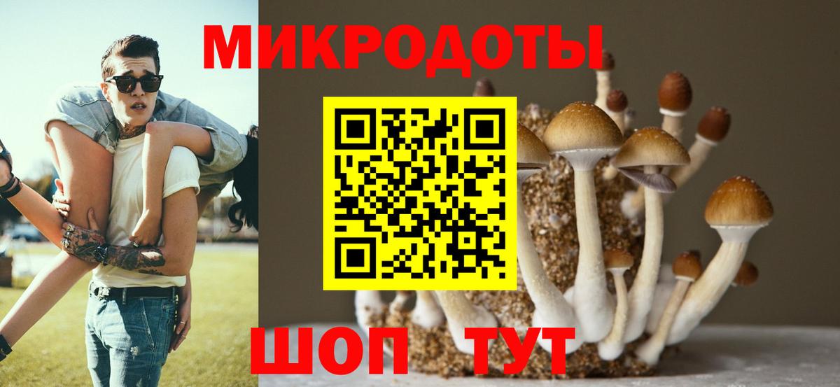 Псилоцибиновые грибы Cubensis  Псилоцибиновые грибы ЛСД  Гуково  Вход с VPN 